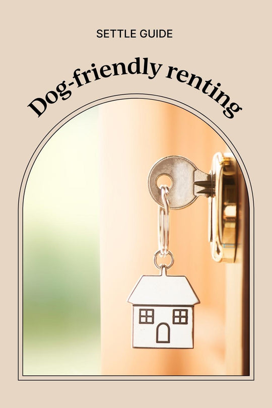 Renting with a dog