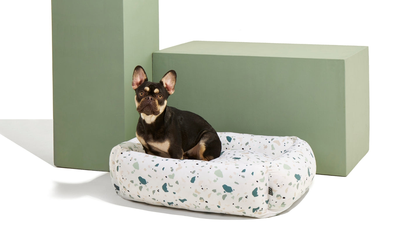 Settle Terrazzo Medium Dog Bed French Bulldog