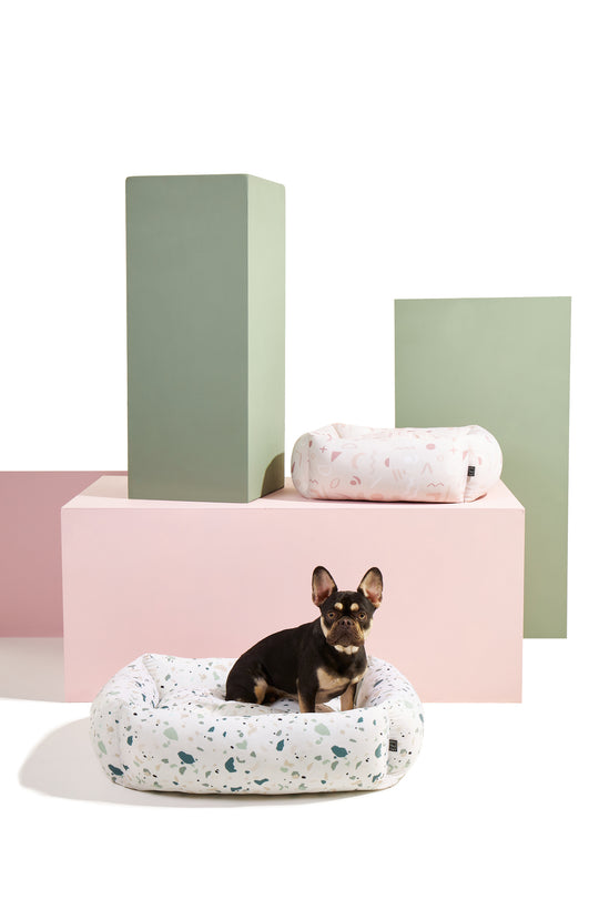 Sustainability, Style and Dogs: All your favourite things in one brand