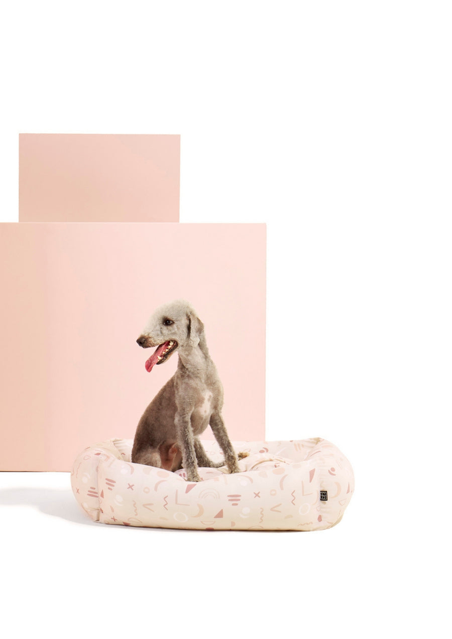 Abstract Dog Bed - Settle Beds