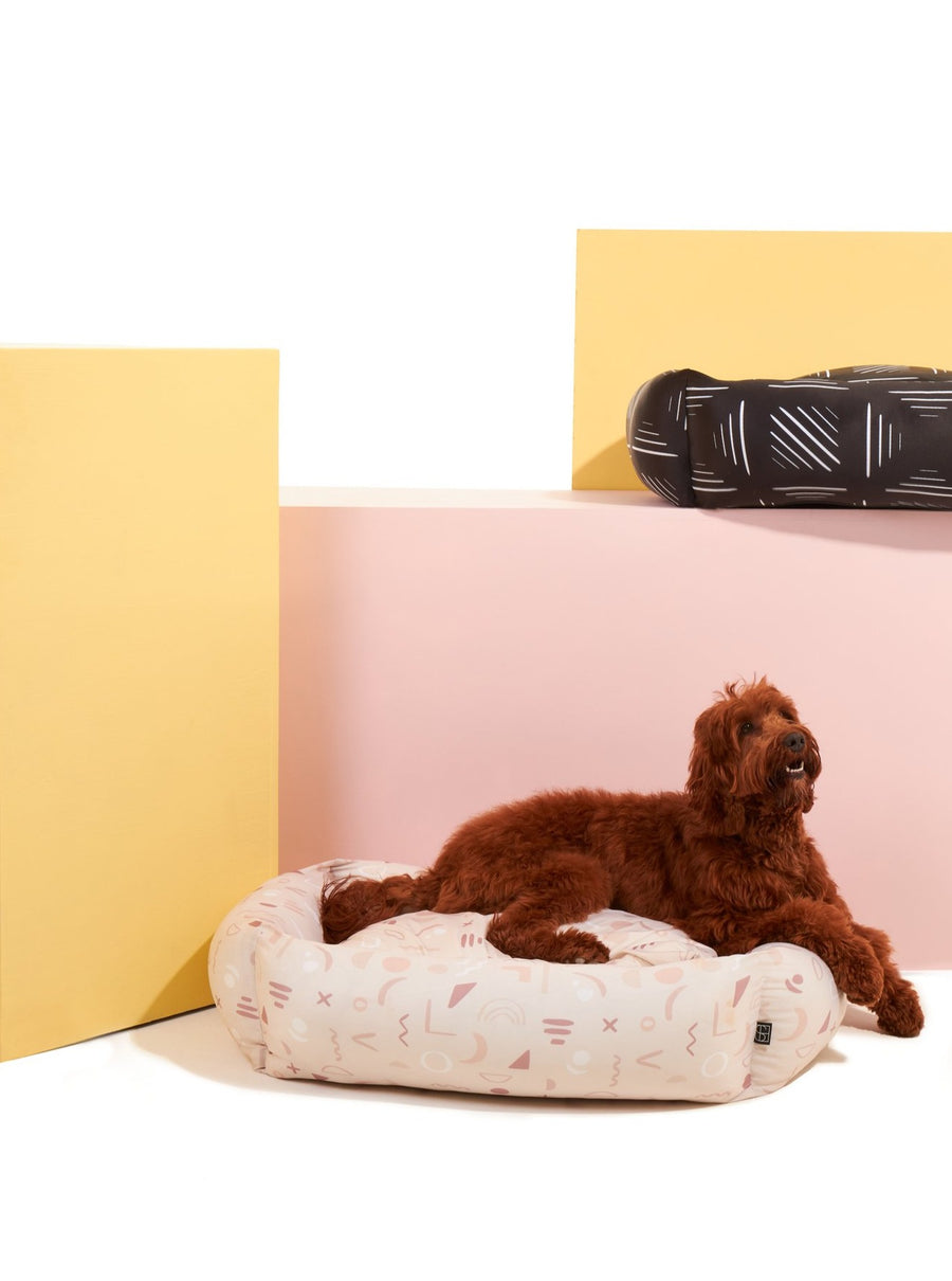 Abstract Dog Bed + Spare Cover - Settle Beds