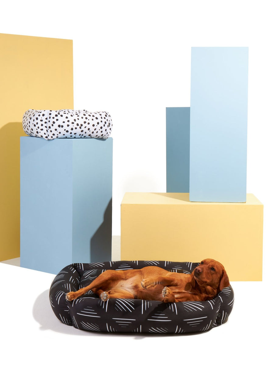 Monochrome Dog Bed + Spare Cover - Settle Beds