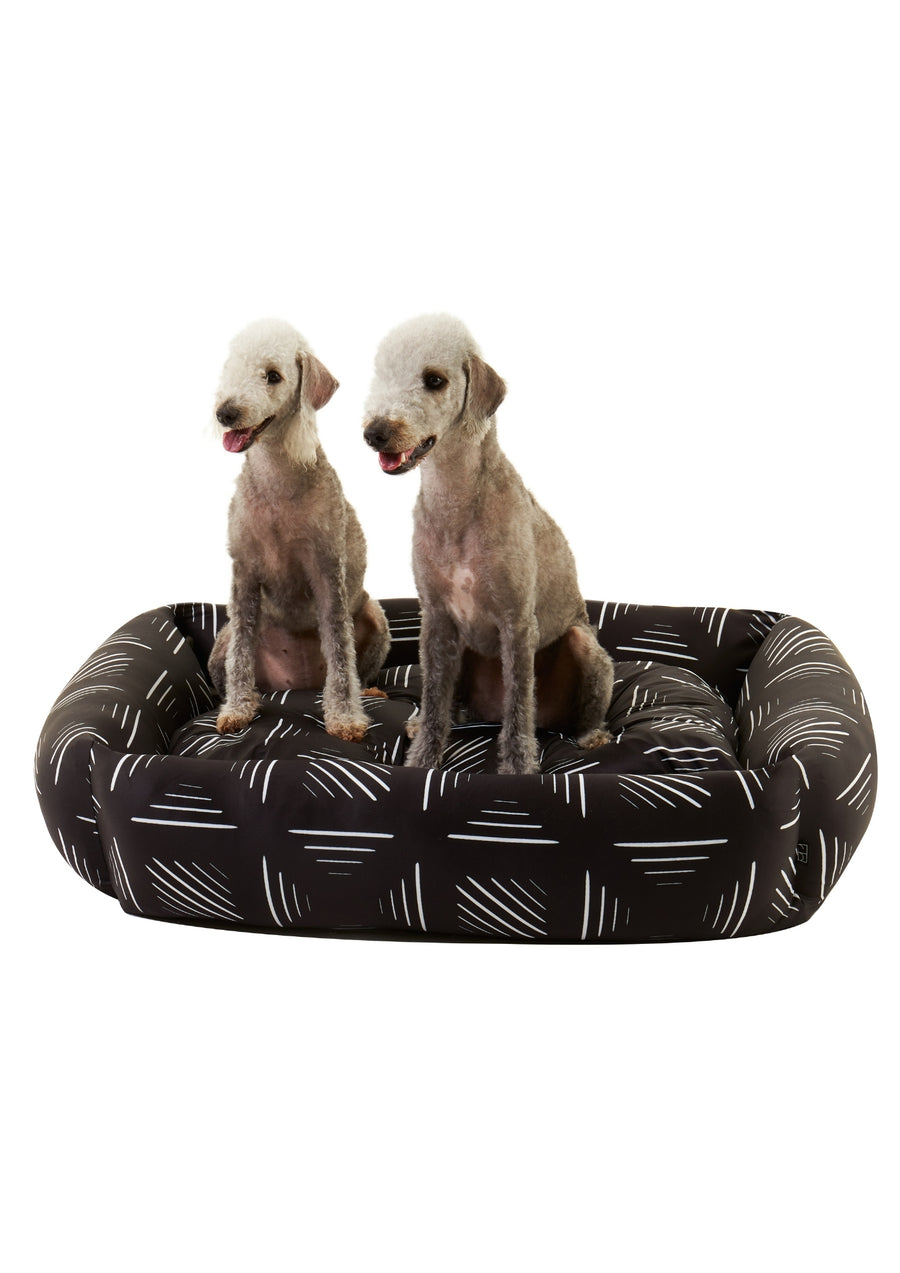 Monochrome Dog Bed + Spare Cover - Settle Beds